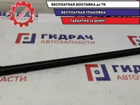 Накладка стекла (уплотнитель) двери задней правой Renault Scenic 2 .