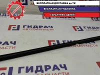 Накладка стекла (уплотнитель) двери передней левой Renault Scenic 2 .