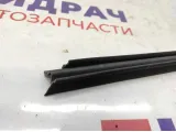 Накладка стекла (уплотнитель) двери передней левой Renault Scenic 2 .