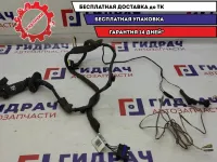 Проводка двери задней правой Renault Scenic 2 8200466049. Дефект.