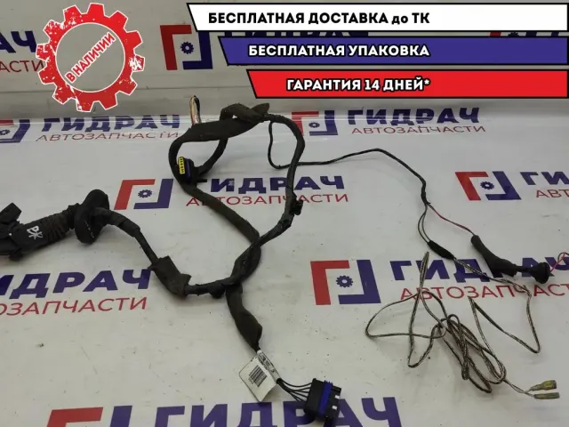 Проводка двери задней правой Renault Scenic 2 8200466049. Дефект.