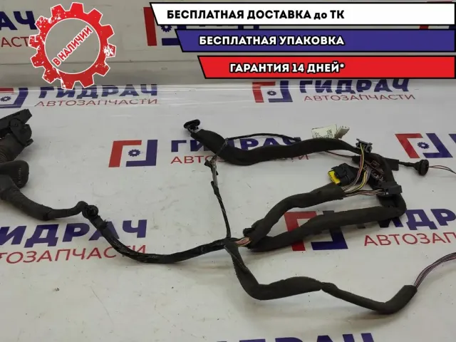 Проводка двери передней левой Renault Scenic 2 8200466079. Дефект.