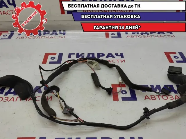 Проводка двери передней правой Renault Scenic 2 8200466103. Дефект.