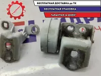 Петля двери передней правой Renault Scenic 2 .