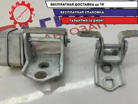 Петля двери задней левой Renault Scenic 2 .