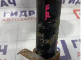Амортизатор передний Renault Symbol  7701479313