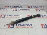 Амортизатор задний Renault Symbol  8200737471