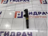 Катушка зажигания Renault Symbol  224333529R