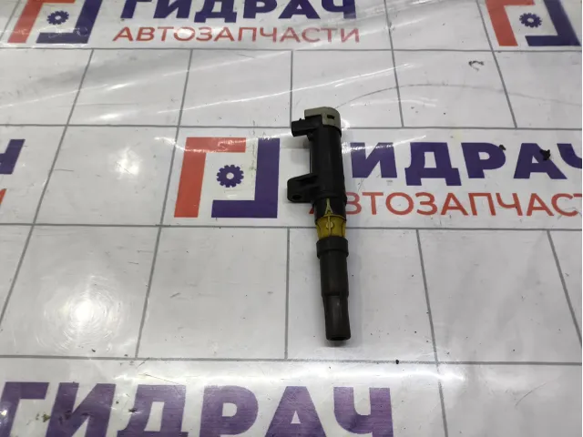 Катушка зажигания Renault Symbol  224333529R