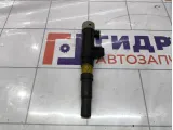 Катушка зажигания Renault Symbol  224333529R