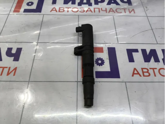 Катушка зажигания Renault Symbol  4091600100