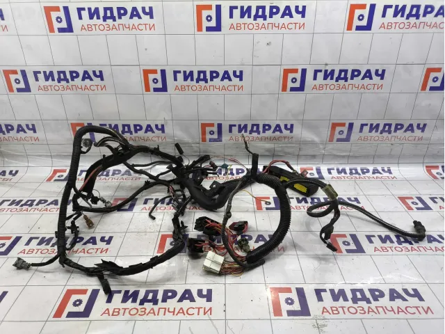 Проводка двигателя Renault Symbol  8200450813