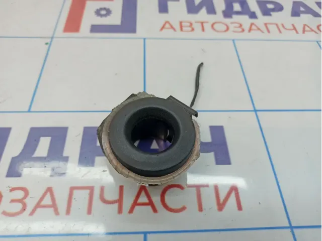 Иммобилайзер Renault Symbol (LB)