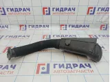 Резонатор воздушного фильтра Renault Symbol (LB) 705800100