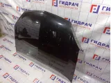 Капот Renault Symbol (LB)