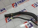 Горловина топливного бака Renault Symbol (LB) 172216856R
