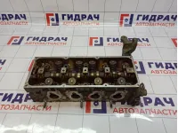 Головка блока Renault Symbol (LB) 8201724840