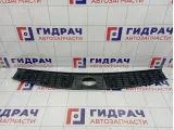Обшивка багажника SsangYong Kyron (D200) 7746009004LAM