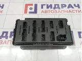 Блок предохранителей SsangYong Kyron (D200) 8231009032