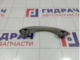Ручка внутренняя потолочная SsangYong Kyron (D200) 7762009000ABR