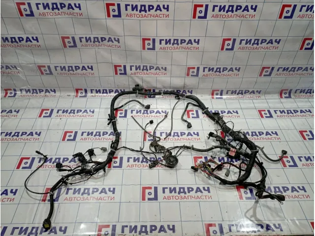 Проводка подкапотная SsangYong Kyron (D200) 8230609142