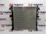 Радиатор основной SsangYong Kyron (D200) 2131009252