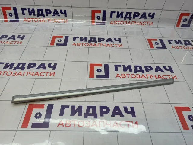 Накладка двери задней левой SsangYong Kyron (D200) 7953609000