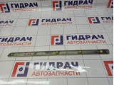 Накладка двери задней правой SsangYong Kyron (D200) 7954609000