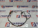 Проводка двери задней левой SsangYong Kyron (D200) 8272009012