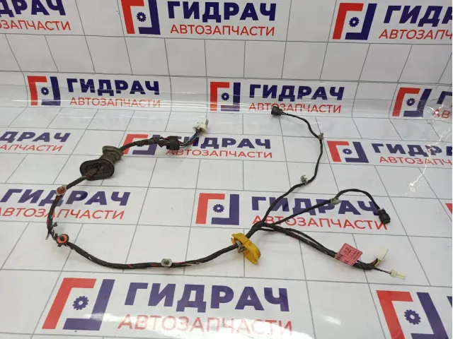 Проводка двери задней правой SsangYong Kyron (D200) 8272009012