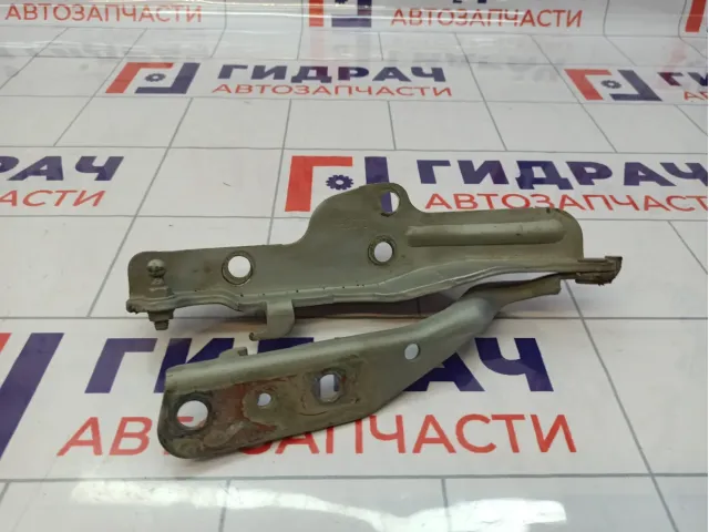 Петля капота правая SsangYong Kyron (D200) 6182009003