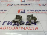 Петли двери багажника SsangYong Kyron (D200)