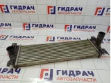 Интеркулер SsangYong Kyron (D200) 2371109060