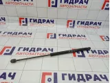 Амортизатор двери багажника правый SsangYong Kyron (D200) 7146009000