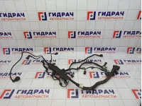 Проводка двигателя SsangYong Kyron (D200) 6641502233