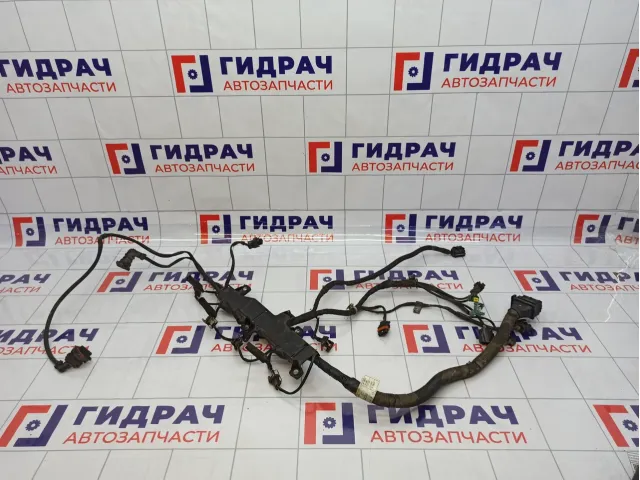 Проводка двигателя SsangYong Kyron (D200) 6641502233
