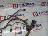 Проводка двигателя SsangYong Kyron (D200) 6641502233