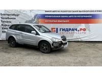 SsangYong Kyron (D200)