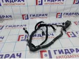 Проводка двери передей левой Hyundai Santa Fe (SM) 91810-26061