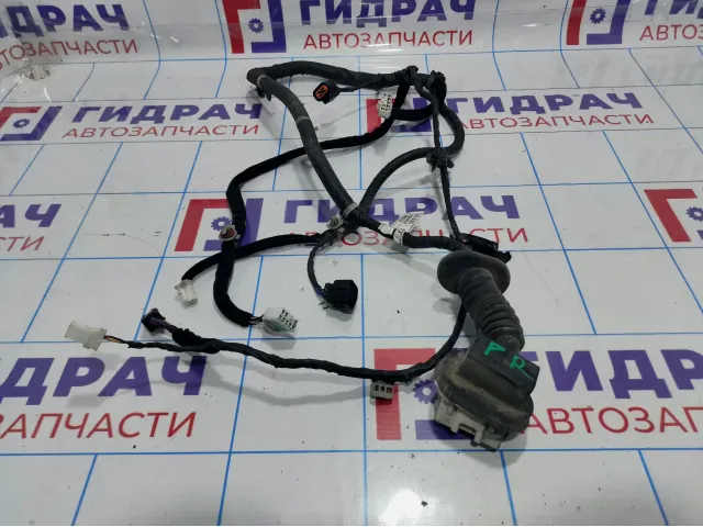 Проводка двери передей правой Hyundai Santa Fe (SM) 91820-26062