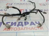 Проводка двери багажника Hyundai Santa Fe (SM) 91910-26030