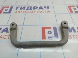 Ручка внутренняя потолочная Hyundai Santa Fe (SM)