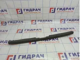 Обшивка двери багажника Hyundai Santa Fe (SM) 8176026010YD