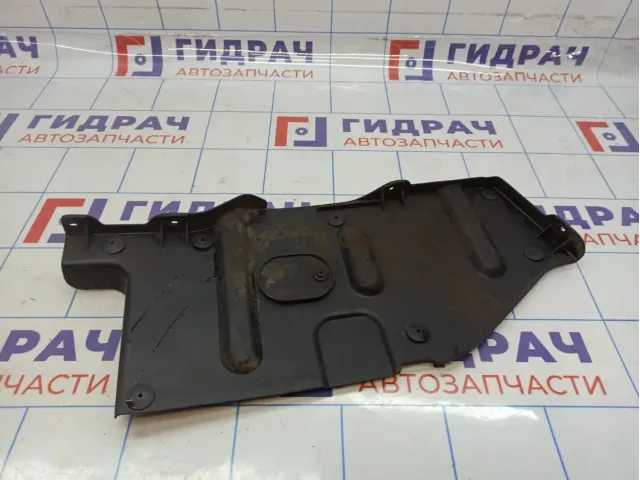 Пыльник двигателя Hyundai Santa Fe (SM) 07291-26010