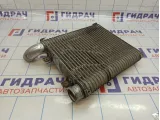 Интеркулер Hyundai Santa Fe (SM) 28270-27200