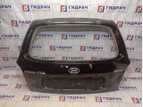 Дверь багажника Hyundai Santa Fe (SM)