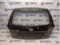 Дверь багажника Hyundai Santa Fe (SM)