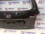 Дверь багажника Hyundai Santa Fe (SM)