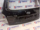 Дверь багажника Hyundai Santa Fe (SM)