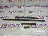 Молдинг крыши левый Hyundai Santa Fe (SM)